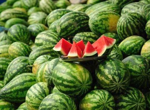 网红吃的水果瓜是什么,揭秘流行美食背后的神秘果实