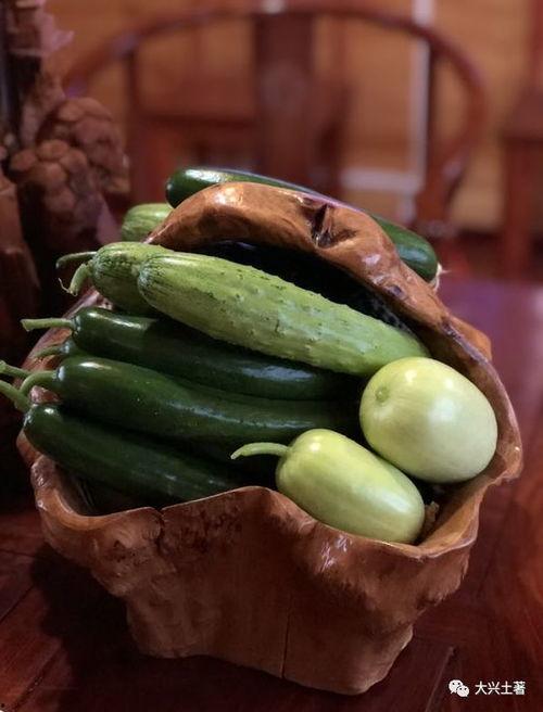 网红最新吃瓜爆料,娱乐圈惊天大瓜，揭秘明星背后惊人真相！