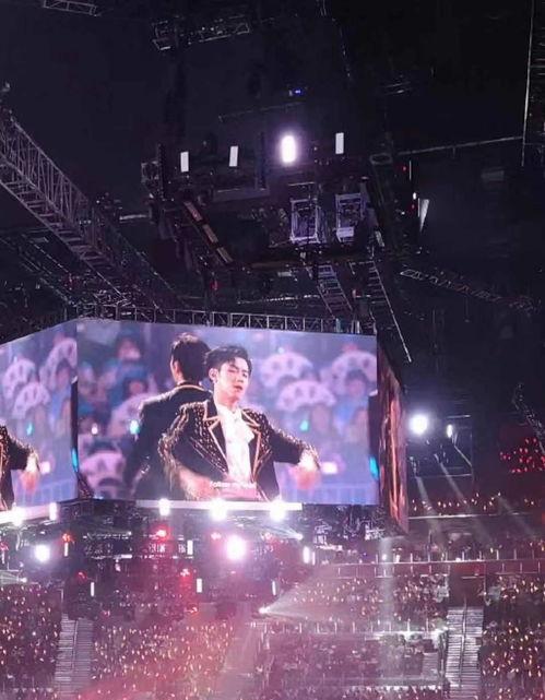 吃瓜男博主网红紫色灯光,揭秘网红背后的故事