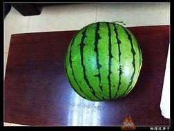 17吃瓜网官网,揭秘娱乐圈最新热点，带你畅游八卦世界