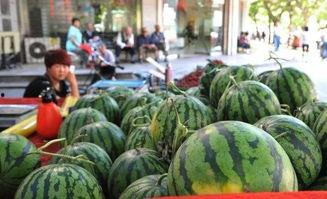 17吃瓜网官网,揭秘娱乐圈最新热点，带你畅游八卦世界