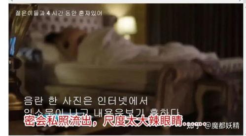 网红合集吃瓜视频下载,揭秘网络红人幕后故事