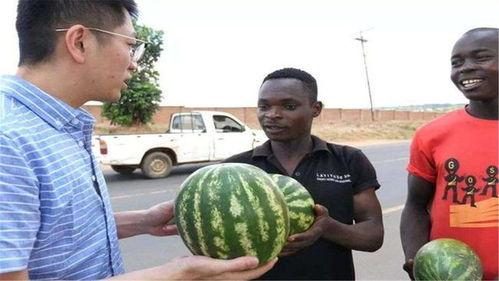 黑爆料吃瓜网,娱乐圈幕后真相大曝光！