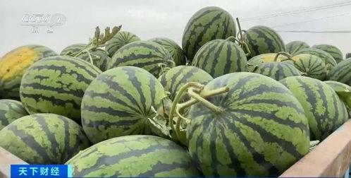 53吃瓜网,揭秘娱乐圈最新热点，带你领略幕后故事