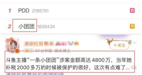 怎么登录吃瓜网,畅享娱乐资讯新体验