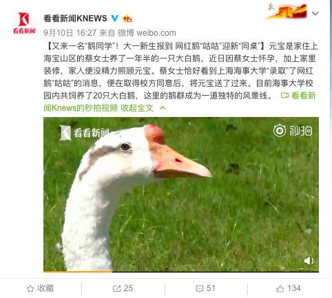 网红鹅鹅吃瓜视频,揭秘娱乐圈幕后真相