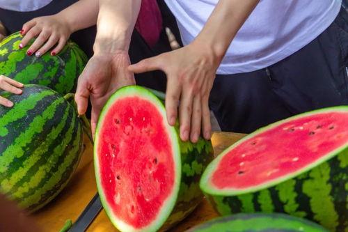 大学吃瓜网,揭秘校园热点事件，带你领略校园生活百态