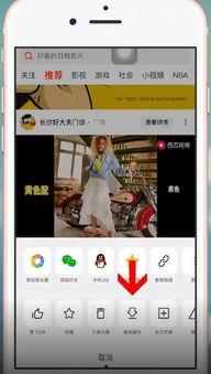 吃瓜网推广码怎么下载到手机,用吃瓜网推广码下载至手机，尽享便捷体验！