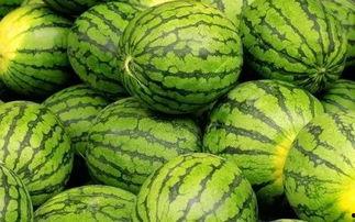 吃瓜网每日大赛往期内容最新入口,探寻往期精彩瞬间，最新入口一网打尽！