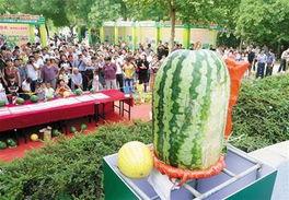 吃瓜网每日大赛往期内容最新入口,探寻往期精彩瞬间，最新入口一网打尽！