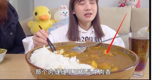 网红吃瓜红肠视频播放全集,全程揭秘，美味与争议并存