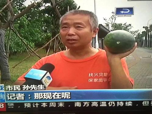 网曝热门吃瓜事件最新,揭秘娱乐圈最新悬疑风波