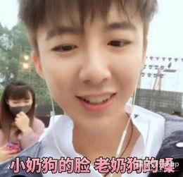 抖音吃瓜网红结婚视频,甜蜜瞬间引网友热议