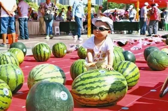 吃瓜吧中国官网,热门话题背后的网络现象