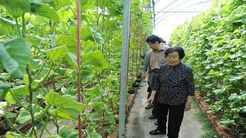 绍兴网红吃瓜事件是真的吗