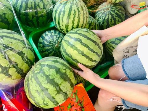 成都网红升学吃瓜,网红吃瓜群众热议升学那些事儿