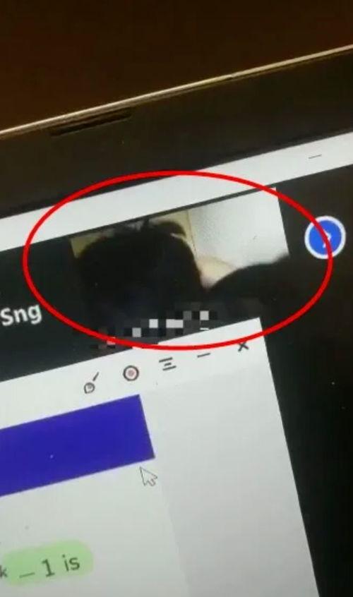 网课社死吃瓜,那些让人捧腹大笑的吃瓜时刻