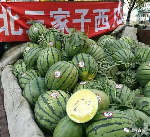 吃瓜群众之家官网