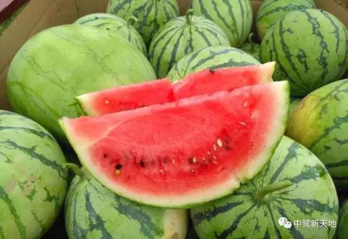 吃瓜群众之家官网