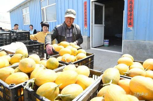 网红吃瓜现场,揭秘娱乐圈幕后真相