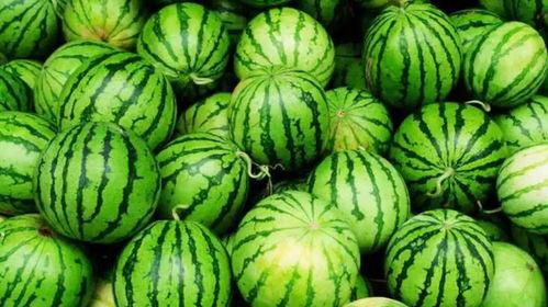 网暴吃瓜,揭秘网络暴力的双重效应