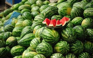 8月10日吃瓜事件网红,网红引发的网络狂欢与反思