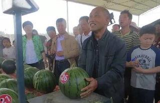 武都网红吃瓜群众视频曝光,揭秘幕后真相