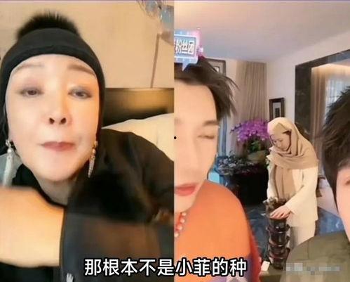 吃瓜小扒姨自曝网暴,网络暴力背后的真相