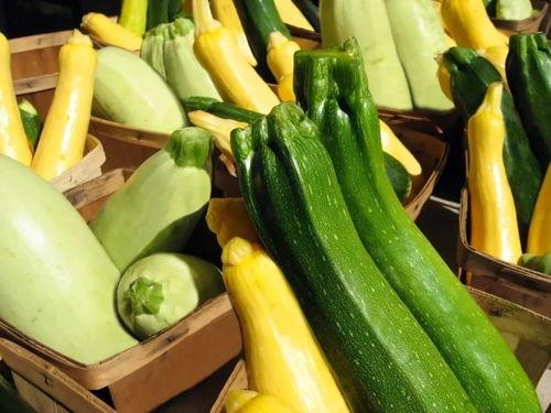 吃瓜网官网谭竹,谭竹带你领略网络娱乐新风向