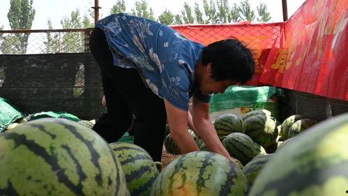 村里近期吃瓜事件网红