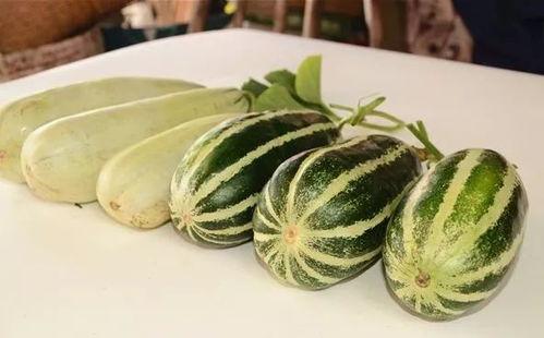 什么姨是个网红吃瓜,从幕后推手到话题女王