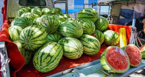 镇平网红吃瓜事件真相,真相背后的网络风波