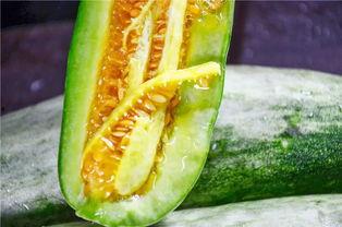 吃网红瓜群,吃瓜群众如何成为舆论焦点