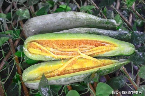 吃网红瓜群,吃瓜群众如何成为舆论焦点