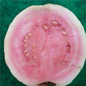 吃瓜台湾网红是谁,吃瓜台湾网红背后的故事