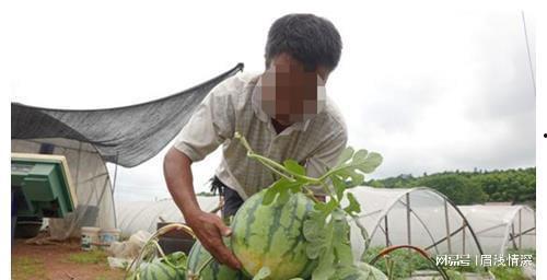 吃瓜最新事件贵州新闻网