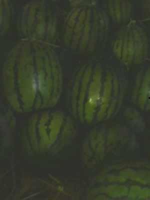 吃瓜的台湾网红有哪些,揭秘热门话题背后的故事