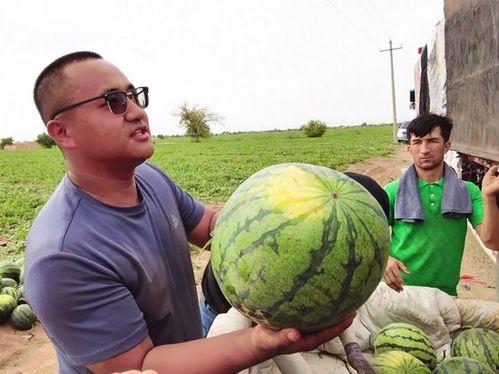 台州吃瓜新闻网红